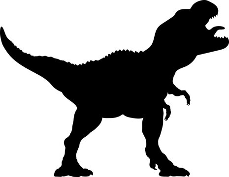 Dinosaur Silhouette Images – Browse 84,424 Stock Photos, Vectors, and Video  | Adobe Stock