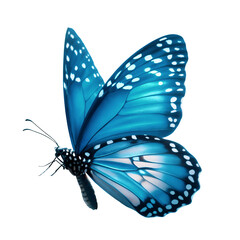Beautiful blue butterfly is flying, close-up of blue butterfly