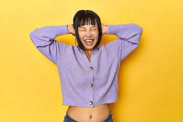 Young Chinese lady, yellow studio background covering ears with hands trying not to hear too loud...