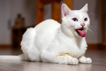 white cat sits on the floor with a pink outstretched tongue. AI GENERATE