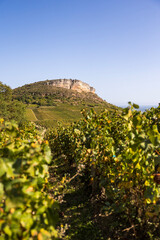 Falaise calcaire de la Roche du Vergisson surplombant le vignoble de la célèbre appellation Pouilly-Fuissé, en Bourgogne, près de Mâcon