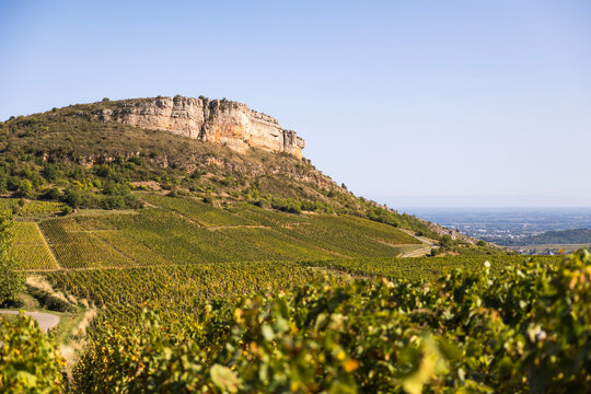 Falaise calcaire de la Roche du Vergisson surplombant le vignoble de la c&eacute;l&egrave;bre appellation Pouilly-Fuiss&eacute;, en Bourgogne, pr&egrave;s de M&acirc;con