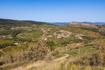Naklejka premium Roche du Vergisson, son village et son vignoble, depuis le sommet le sommet de la Roche du Solutré, en Bourgogne