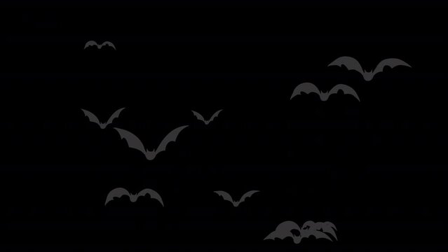 Halloween bat flying motion graphics video transparent background with alpha channel
