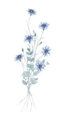 Flowers - Leaves bouquets Watercolor Blue  Frame flowers Aquarell Clipart, Einladun