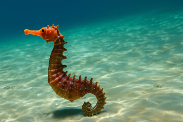  little seahorse swims in the depths of the blue ocean with sun rays in the water. AI GENERATE - obrazy, fototapety, plakaty