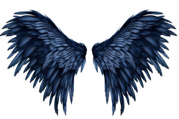 Fototapeta premium spread dark blue demon feather angel wings on transparent background