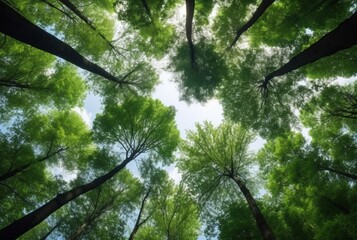 Looking up at the green tops of trees. generative ai - obrazy, fototapety, plakaty