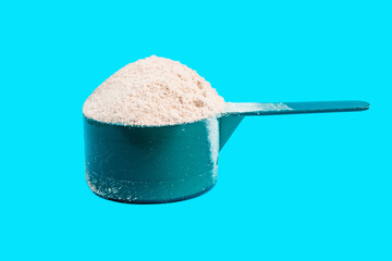 Chocolate whey protein powder in measuring spoon isolated on blue background. healthy eating, bodybuilding food supplements