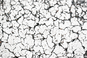 Black crack background. Scratched lines texture. White and black distressed grunge concrete wall pattern for graphic design. Peel paint crack. Dry paint overlay. Crack line on white.
