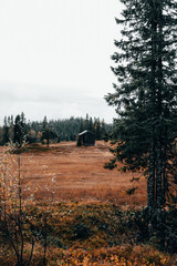 cabanon dans un champ en automne