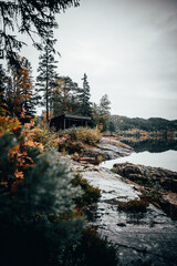 cabanon au bord du lac en automne