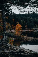Lac l'automne