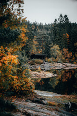 Lac en automne