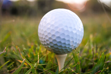 Golf balls and tees placed on the grass.