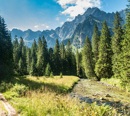 Bielovodska dolina valley with river, forest and peaks above in High Tatras mountains in Slovakia © honza28683