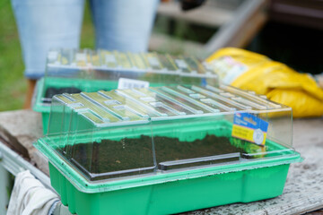 Plastic container for seedlings with soil.