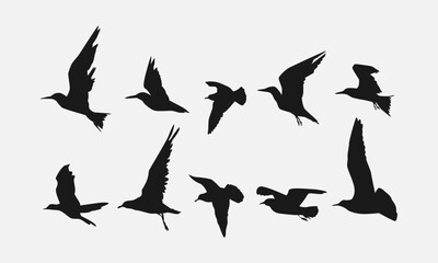 set of flying bird silhouettes. side view. vector illustration.