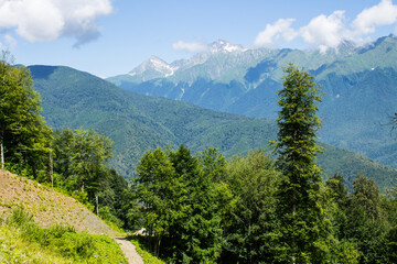 Beautiful panoramic landscape - mountain peaks against a blue sky with white clouds and a green tree on a sunny summer day
