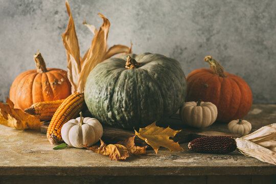 Diverse assortment of pumpkins and corn on a wooden table. Autumn harvest. Top view. Selective focus.