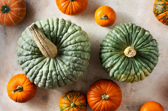 Green and orange pumpkins on a table. Autumn harvest. Top view. Selective focus.