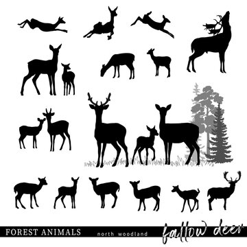 Fallow deer silhouettes with wildlife scene. Vector illustration.