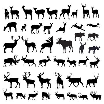 Big collection with deer silhouettes. Vector illustration.