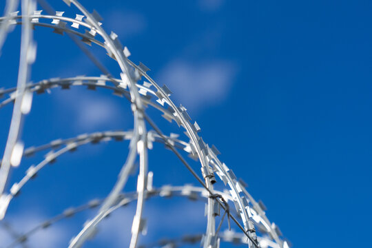 Border with barbed wire. Barbed wire close-up. Metal barbed wire.