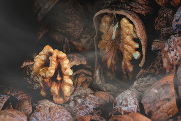 A foggy diorama scene using walnut shells