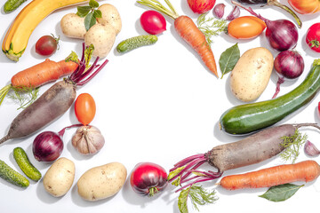 Harvest of autumn vegetables isolated on white background. Urban farm produce