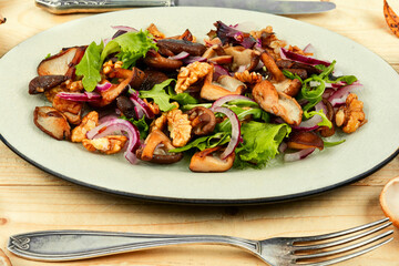 Autumn mushroom salad, vegetarian food.