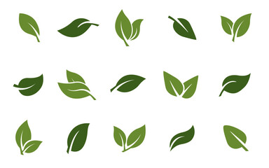 set of leaves green leaf nature art illustration vector sticker icon symbol graphic design environment plant  - obrazy, fototapety, plakaty