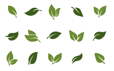 Fotobehang set of leaves green leaf nature art illustration vector sticker icon symbol graphic design environment plant  © athikom