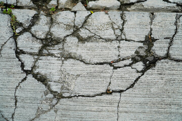 Obraz premium old cracked tiles and weathered broken floor of cement by the grass and the power of the nature - rough texture background - close-up shot
