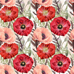 Seamless floral pattern. Red, pink poppy flowers on a light background.