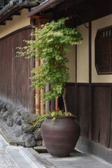 Fototapeta na wymiar 京都の町