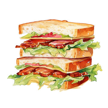Watercolor Sandwich - Delicious Food Illustration with Isolated Background