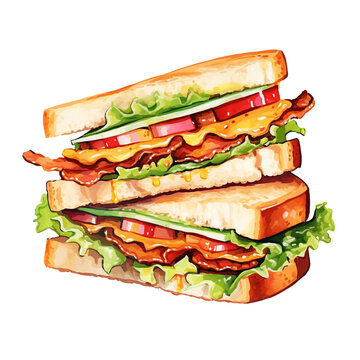 Watercolor Sandwich - Delicious Food Illustration with Isolated Background