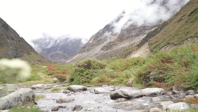Woman with backpack and trekking poles crossing mountain creek during Makalu Barun National Park trek in Nepal. Mountain hiking and active people concept 4K footage.