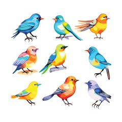 set of birds