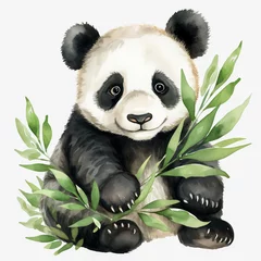 Foto op Plexiglas panda with bamboo © Faisal