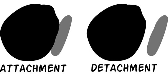 Hand drawn illustration of "attachment" and "detachment" concept. Geometric shapes, oval, blob, blot, or blotch.