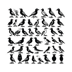 silhouettes of birds