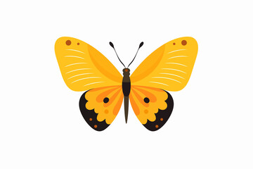 batterfly vector flat minimalistic isolated vector style illustration