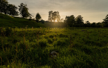 Typical swedish nature landscape in summer