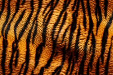 Fototapeta premium Realistic Tiger Skin Texture Pattern And Background