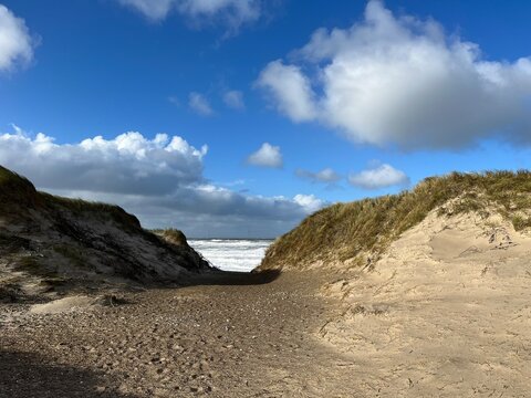 beach in the morning