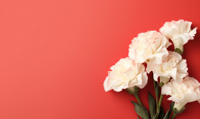 Elegant white and red carnations gracefully arranged.