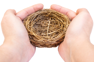 Woman's hands protecting an empty bird's nest, personal perspective shot. Isolated on transparent background, PNG. Concept of protection and care.