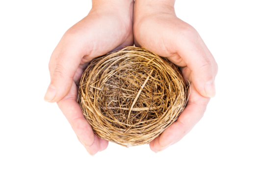 Woman's hands protecting an empty bird's nest, directly above shot. Isolated on transparent background, PNG. Concept of protection and care.